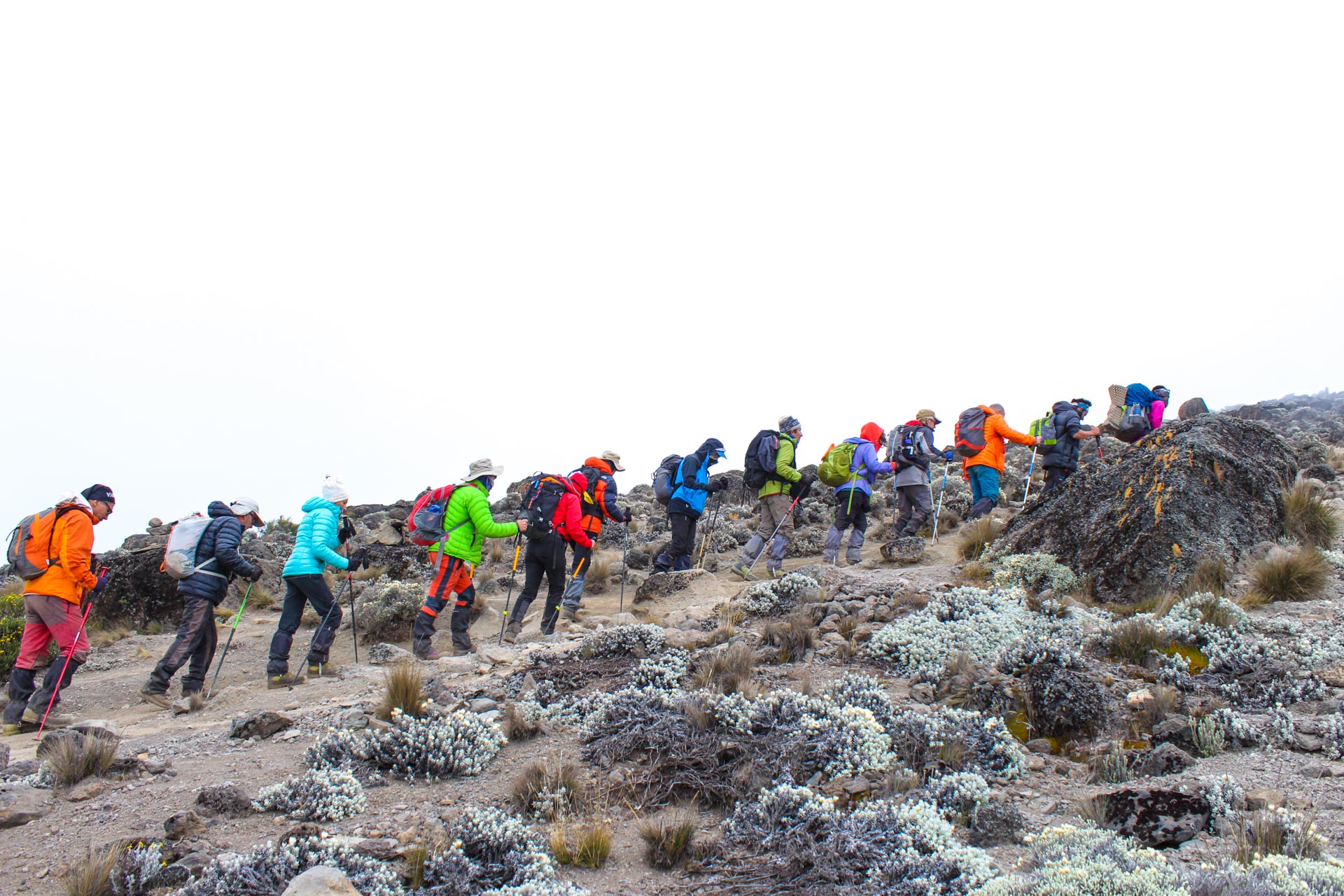 Local Kilimanjaro Guide