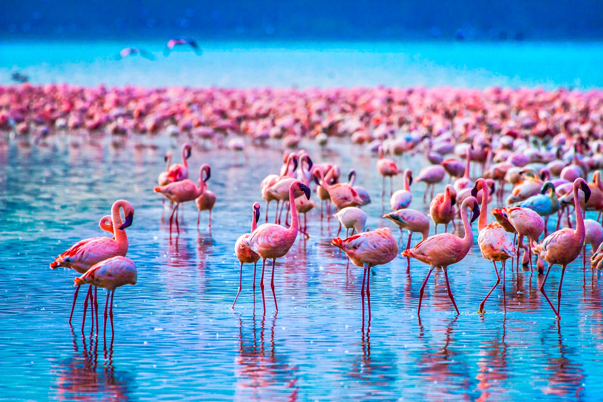 Lake-Manyara-National-Park.jpg