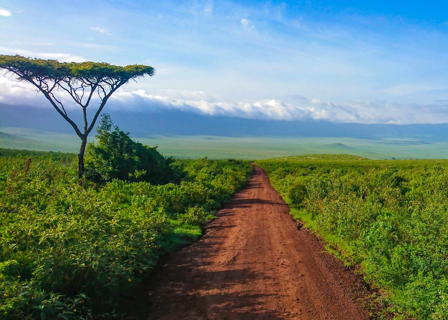 Ngorongoro Crater