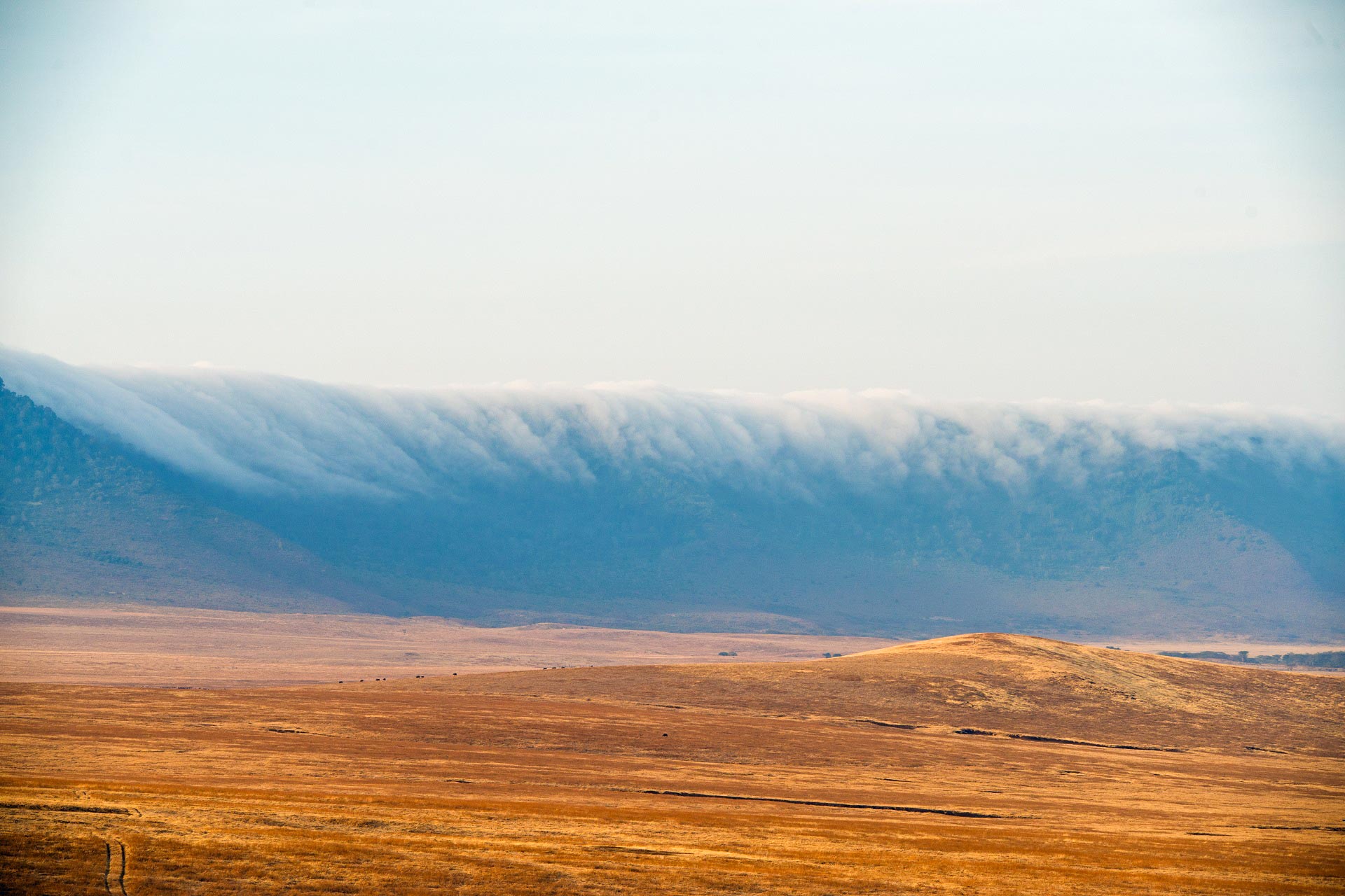 Tanzania Safari Tours (22)