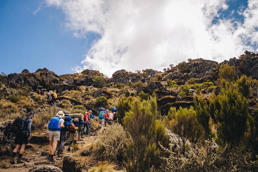 Kilimanjaro Climatic Zones