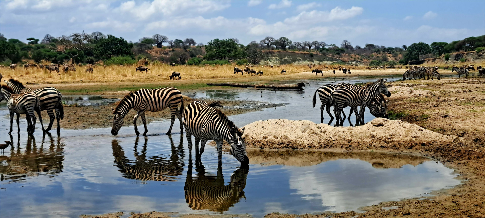 Factors Contributing to Variations in Tanzania Safari Costs