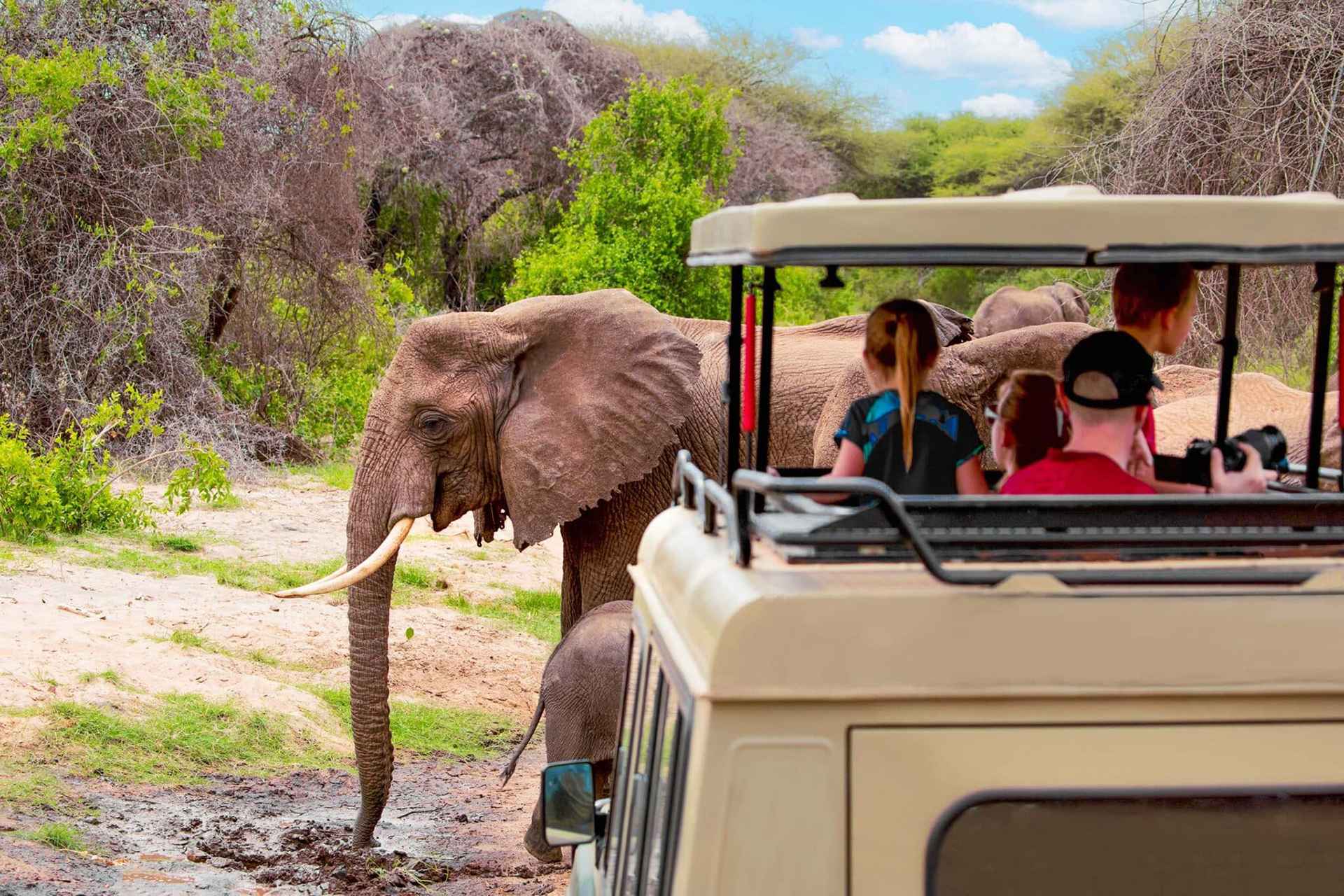 Tanzania Safari With Children