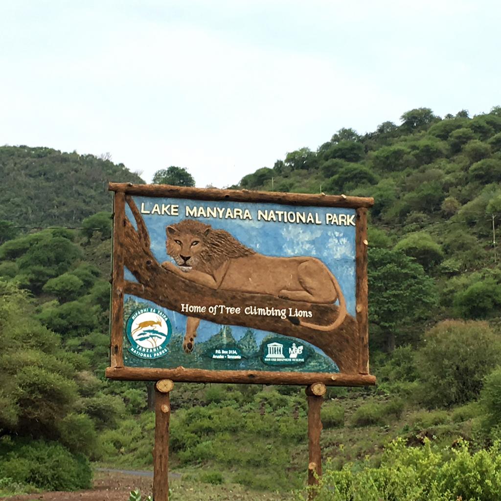 Lake Manyara National Park (4)