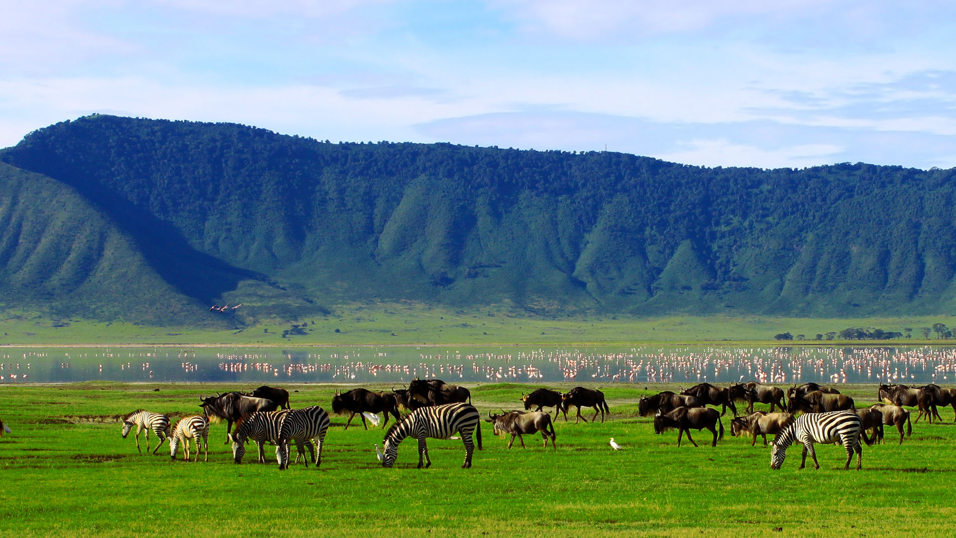 Ngorongoro Crater (4)