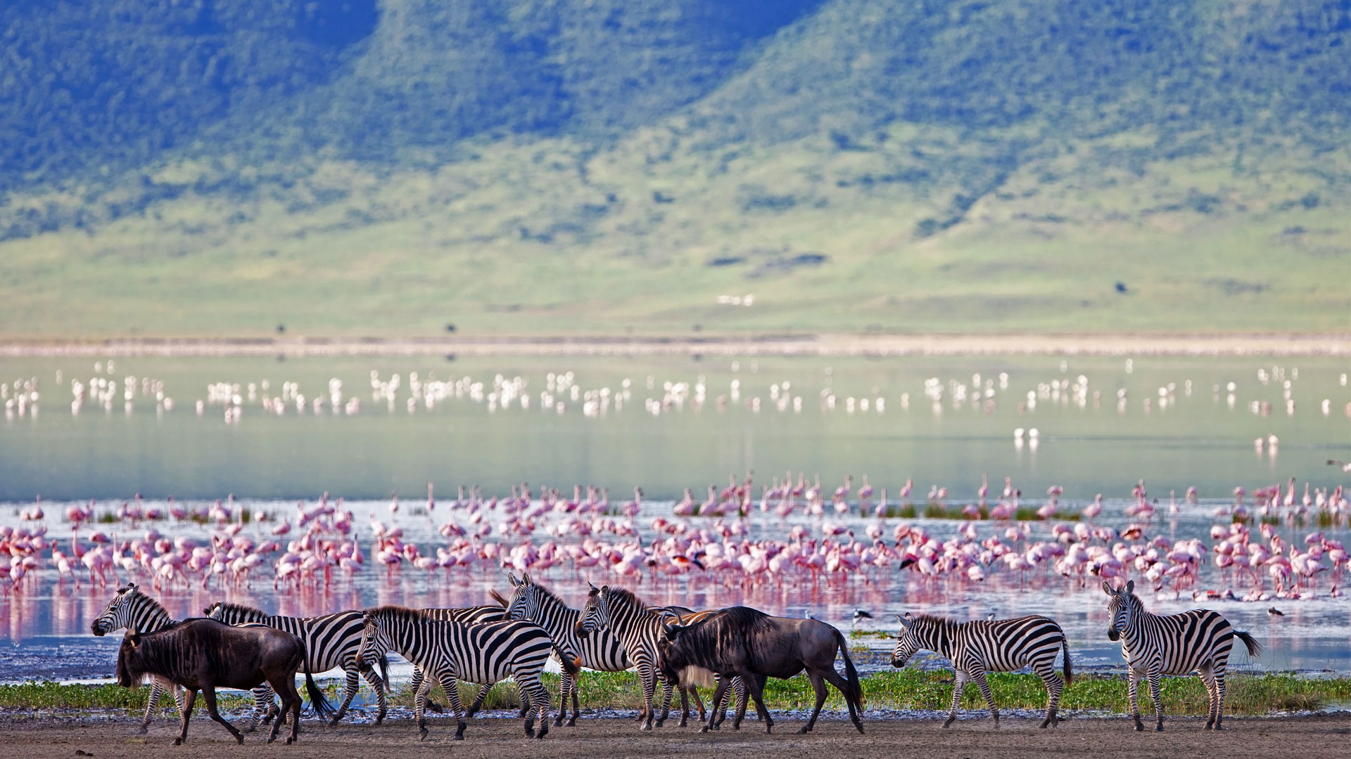 Ngorongoro Crater (6)
