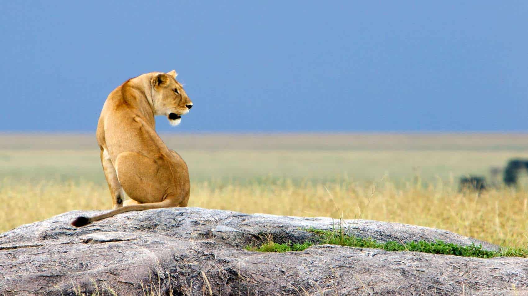 Ngorongoro Crater (7)