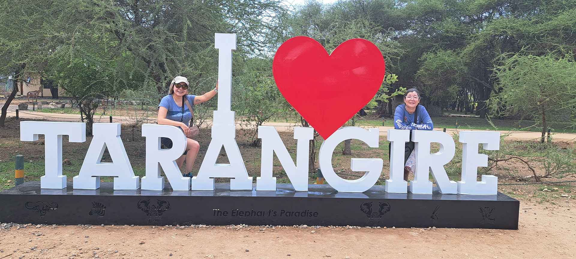 Private Group Safari in Tanzania