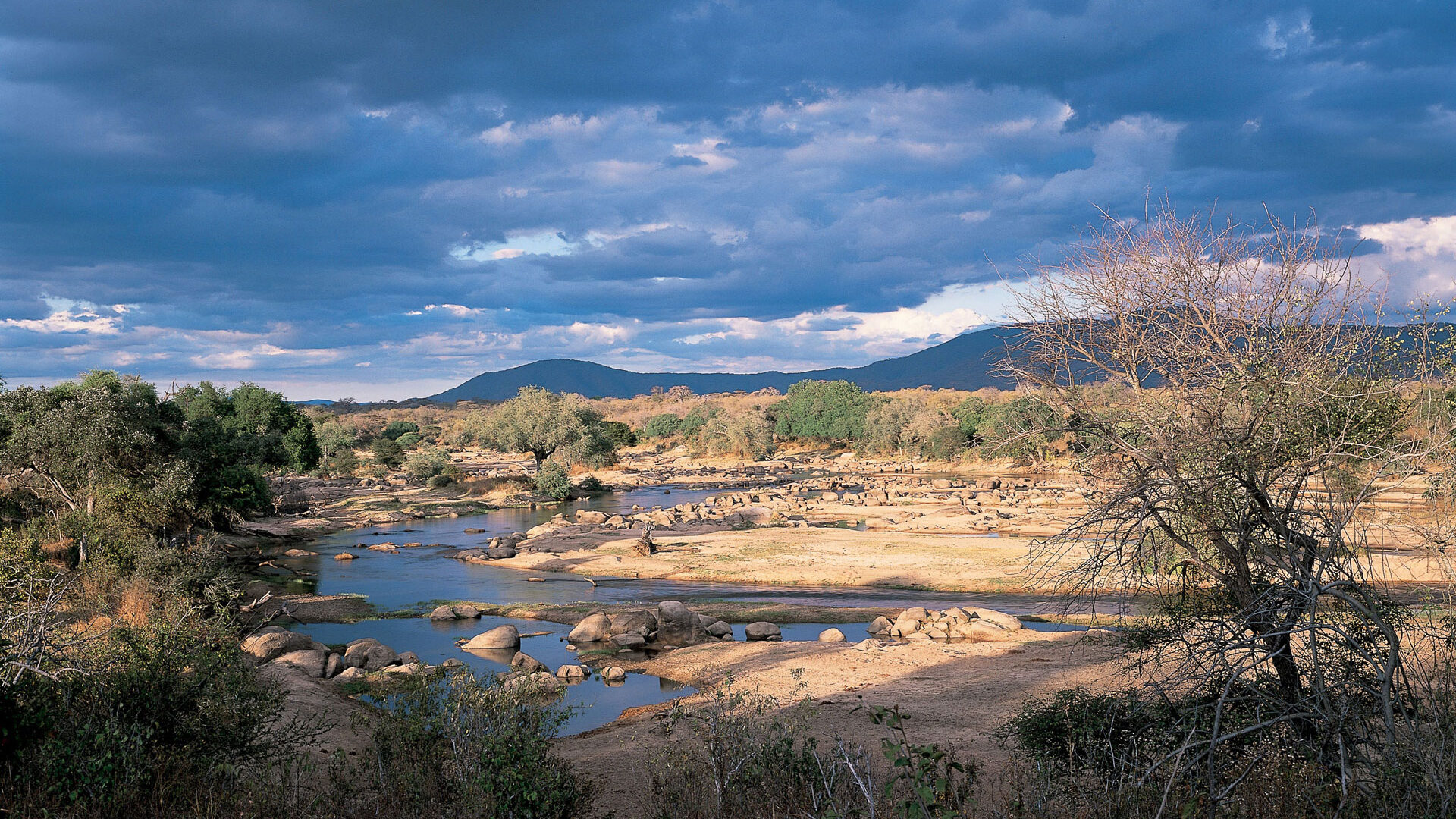 Ruaha National Park (14)