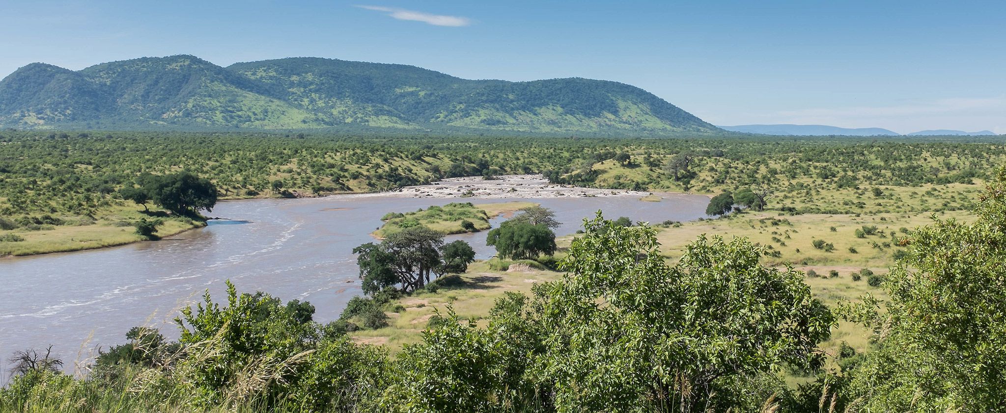 Ruaha National Park (15)