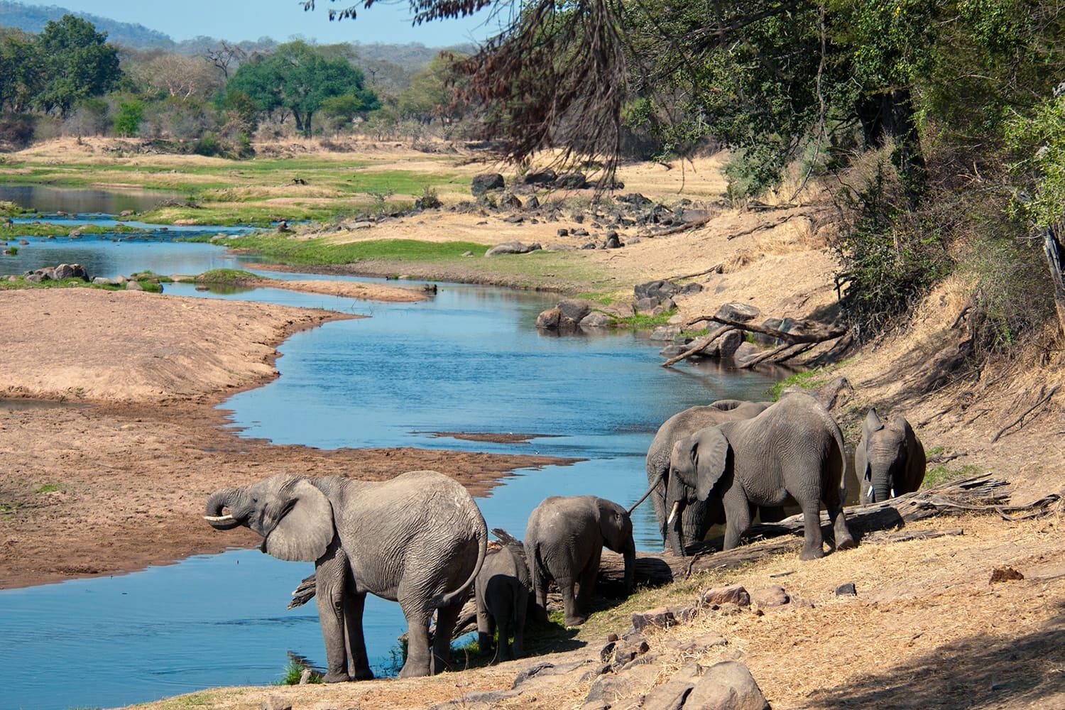 Ruaha National Park (17)
